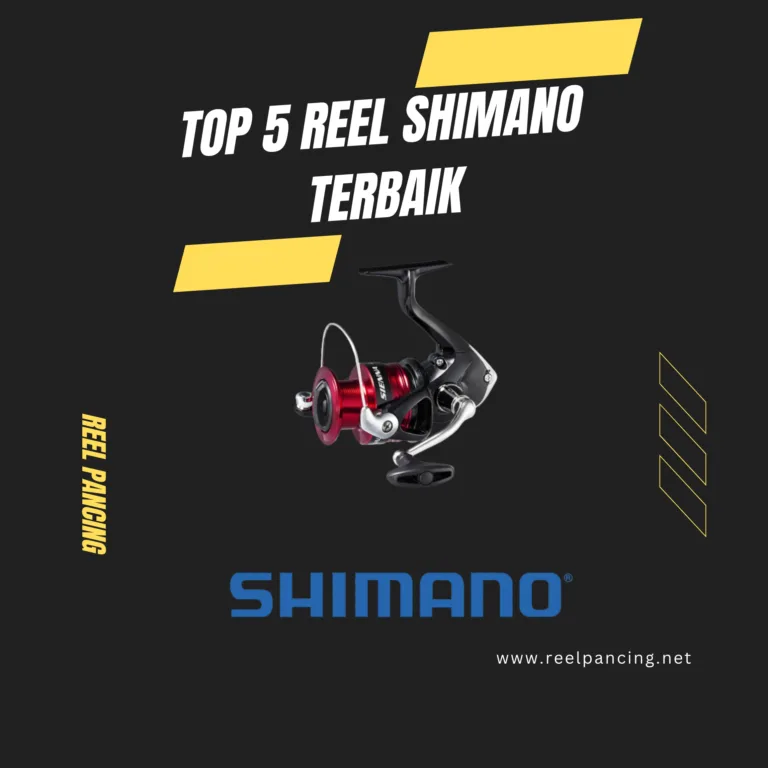 5 Rekomendasi Reel Shimano Terbaik
